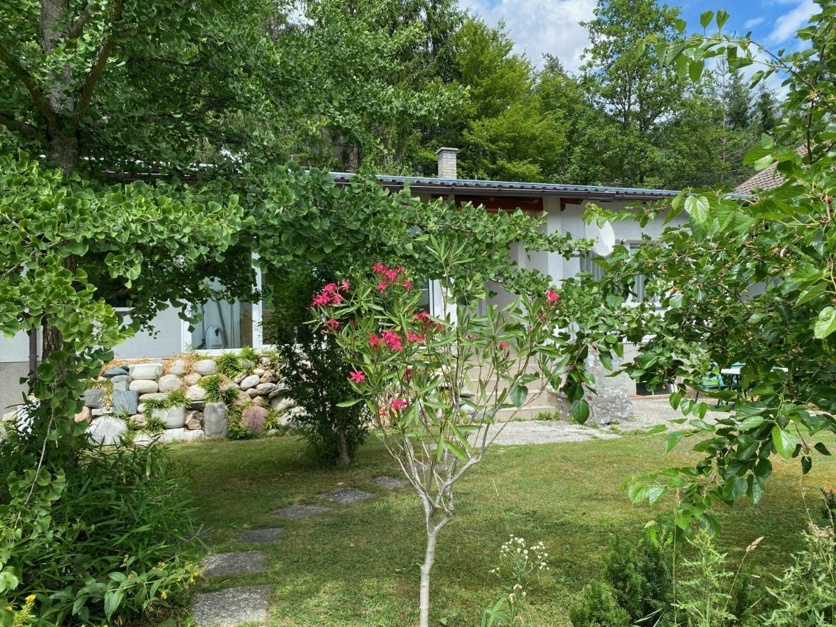 Bungalow Grabner 헤르마고 외부 사진