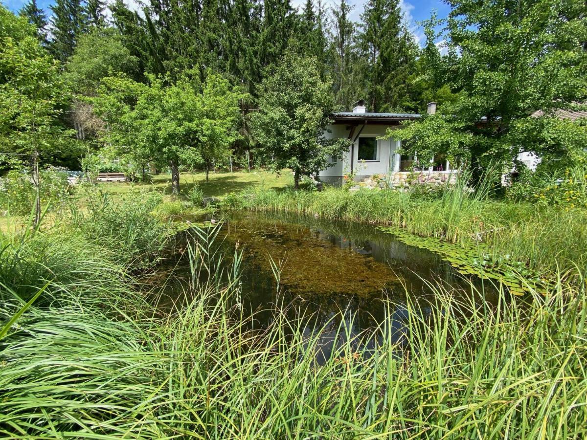 Bungalow Grabner 헤르마고 외부 사진